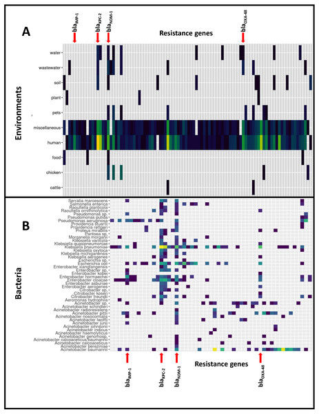 Distribution of the 9,892 carbapenemase-encoding genes in bacterial species and non-human reservoirs.