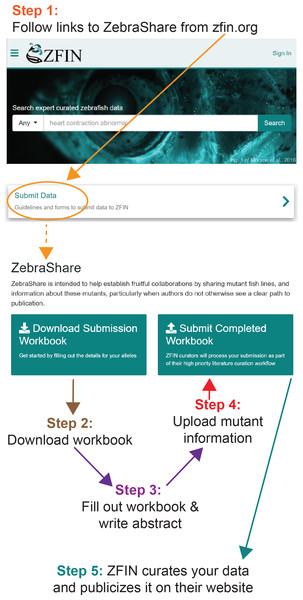 Publicizing a mutant on ZebraShare in 5 steps.