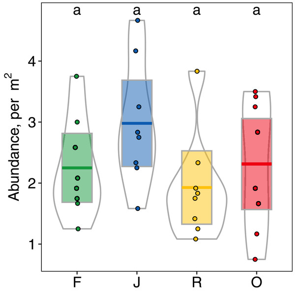 Abundance (individuals/m2) of arboreal salticid spider communities across four land-use systems.