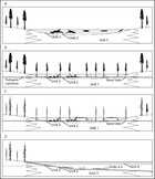 Geology and taphonomy of a unique tyrannosaurid bonebed from the upper Campanian Kaiparowits ...