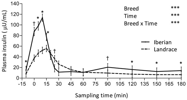 Plasma insulin concentration during intra-arterial glucose challenge test (500 mg/kg BW; 180 min sampling) in growing Iberian (n = 4) and Landrace (n = 5) pigs.