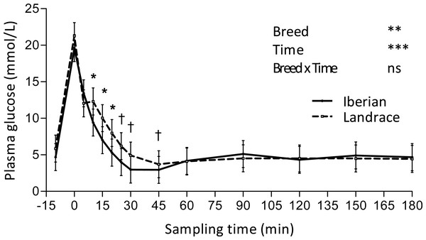 Plasma glucose concentration during intra-arterial glucose challenge test (500 mg/kg BW; 180 min sampling) in growing Iberian (n = 4) and Landrace (n = 5) pigs.