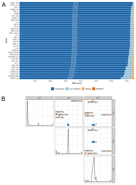 (A) Inbred mouse strain autosomal SNP characteristics: The number of homozygous, low confidence, missing and multiallelic genotypes for 36 non-reference strains. For each strain, a SNP was checked for group membership in the order low confidence → missing → multiallelic → homozygous → heterozygous and was assigned to the first matching group. Since no SNP made it to the group with heterozygous genotypes it is not shown in the diagram. (B) Principal component analysis shows four outlier inbred strains, CAST/EiJ, PWK/PhJ, SPRET/EiJ and MOLF/EiJ.