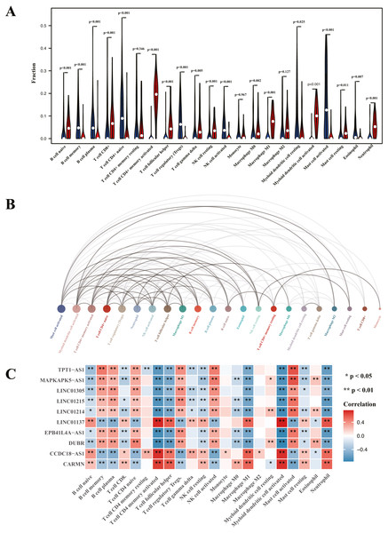 Visualization of immune cell infiltration and correlation analysis with diagnostic biomarker.