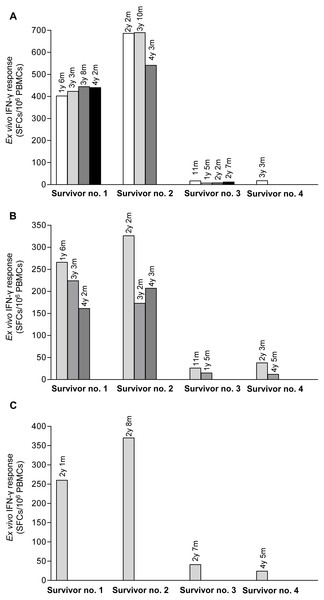 Total magnitude of T cell responses against H5N1 NP, M and HA peptides in sequential PBMC samples from four H5N1 survivors as measured by IFN-γ ELISpot assay.