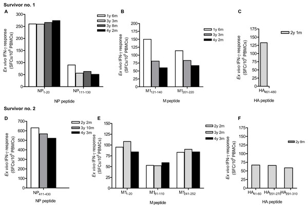 Ex vivo IFN-γ responses and longevity of H5N1 virus-specific T cells against NP, M and HA individual peptides in H5N1 survivors.