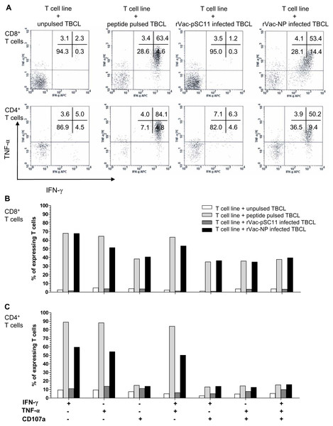 Polyfunctional analysis of effector NP411-430-specific T cells.