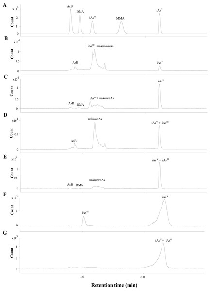 Chromatograms obtained in quantification by HPLC-ICP-MS.