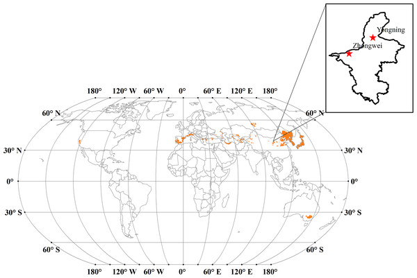 The major japonica rice cultivation areas (orange areas) across the world.