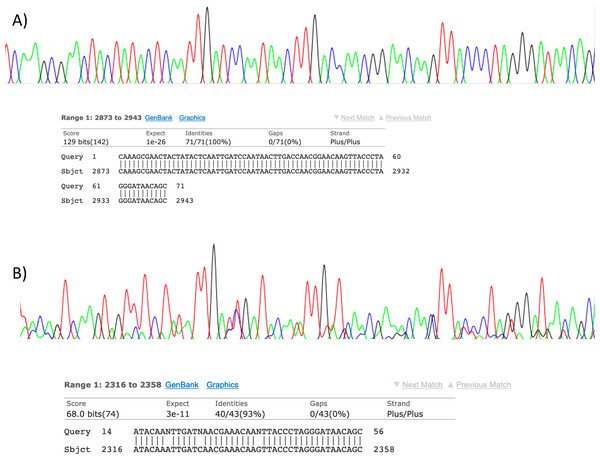Sanger sequencing assays for DNA collected from air.