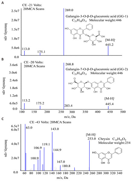 The molecular formula, molecular weight and MS/MS spectra of GG-1 (A), GG-2 (B) and chrysin (C).