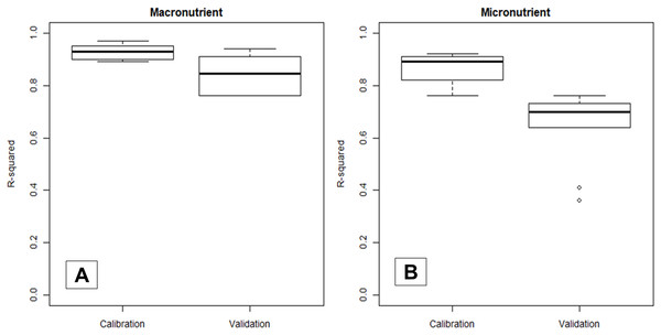 Boxplot comparing the statistical distribution of the calibration and validation R2 of NIRS models in predicting macro- (A) and micronutrient (B) content in cotton leaves.