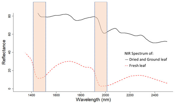 NIR reflectance spectra of fresh and dried, and ground cotton leaf samples.