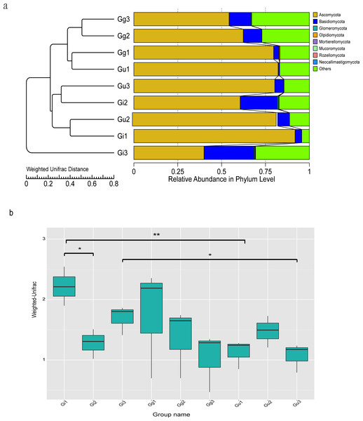 Unweighted Pair-Group Method with Arithmetic (UPGMA) clustering tree base on the weighted unifrac distance (A) and the significance test of the differences of Beta Diversity (B).