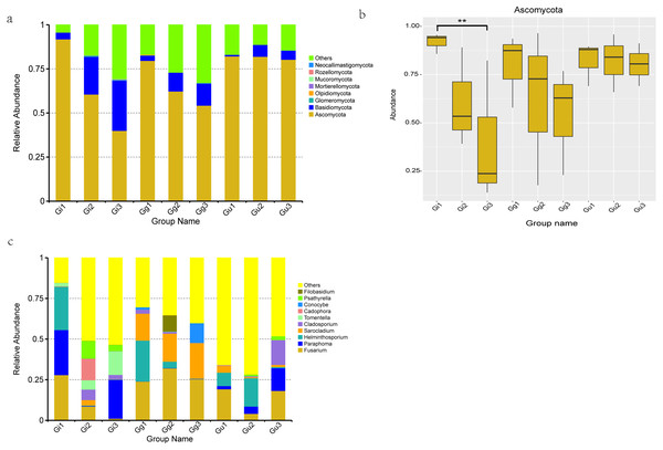 Histograms of relative abundance of the top 10 endophytic fungi at the phyla (A) level of taxonomy and difference analysis at the Phylum classification level (B), Histograms of relative abundance of the top 10 endophytic fungi at the genera (C) level.