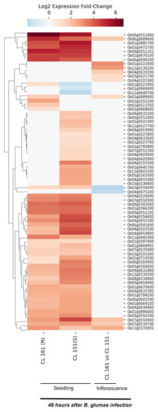 Differential expression of SDRLK family genes in response to bacterial pathogen B. glumae.