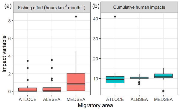 Boxplots of (A) fishing effort (hours km−2 month-1) and (B) cumulative human impacts (Halpern et al., 2008) through the migratory journey of juveniles Balearic shearwaters. From East to West: the Mediterranean Sea (MEDSEA), the Alboran Sea (ALBSEA) and the Atlantic Ocean (ATLOCE).