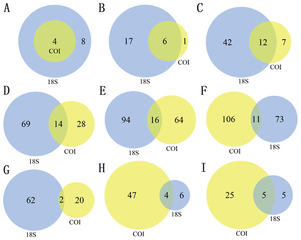 The number of different taxa recovered by using 18S (blue) or COI (yellow) under different taxonomic levels. (A) Phylum, (B) Class, (C) Order, (D) Family, (E) Genus, (F) species, (G) Protozoa, (H) Rotifera, (I) Copepoda.