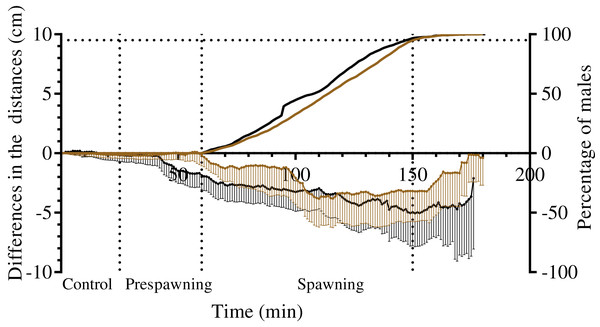 The changes in distances from spawners and nonspawners to their common center of mass during mass spawning of sea urchins.