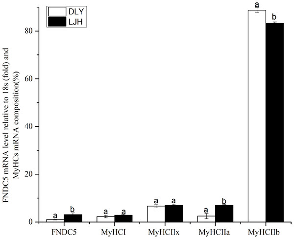 Difference of FNDC5 mRNA level and MyHCs mRNA composition in porcine LD muscle between LJH and DLY crossed pigs.