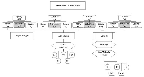 Overview of experimental program.