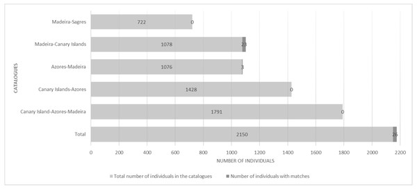 Number of individuals in the catalogues and number of individuals with matches, distributed by areas.