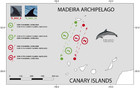 Large-scale Movements Of Common Bottlenose Dolphins In The Atlantic 