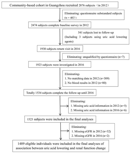 Flow chart of the research subjects.