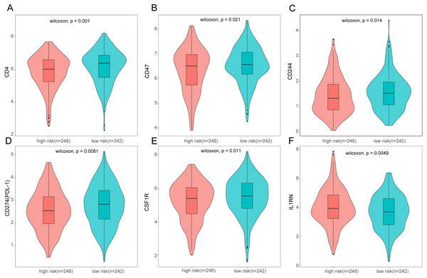 Expression of immune associated genes between low-risk and high-risk groups.