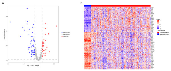 Differential expression of autophagy-related genes(ARGs) in TCGA-LUAD.