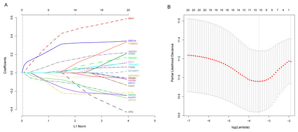 Identification of autophagy-related signature associated overall survival (OS) by LASSO cox regression.