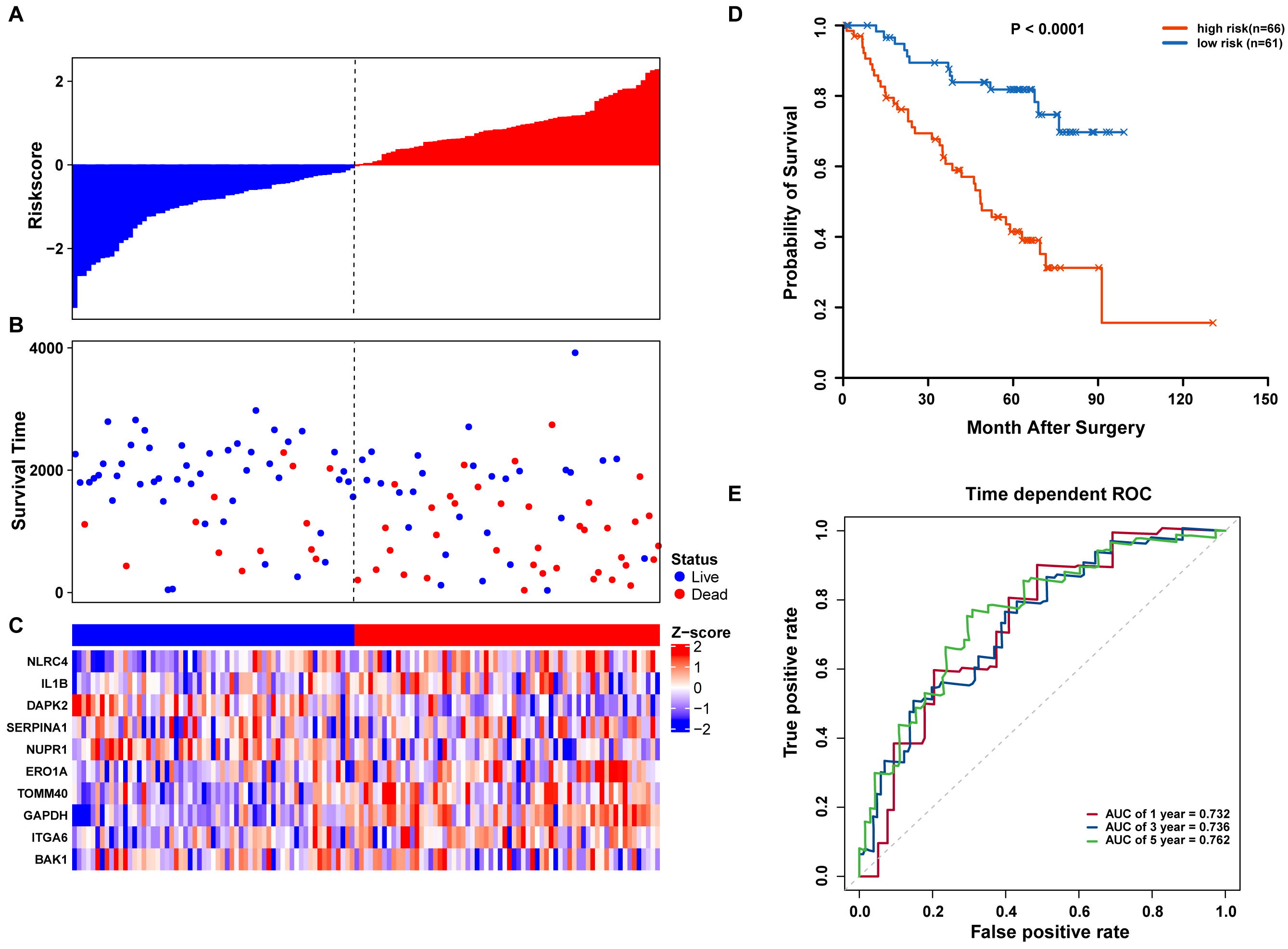 Identification of a novel autophagy signature for predicting survival