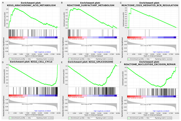 The GSEA analysis results in TCGA LUAD.