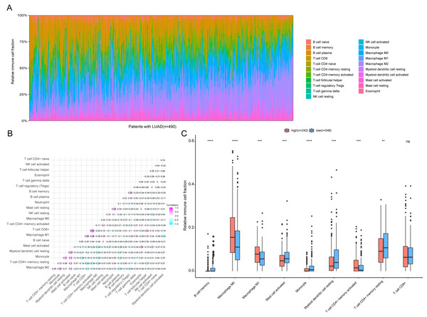 Immune profiling between high-risk and low-risk patients with LUAD.