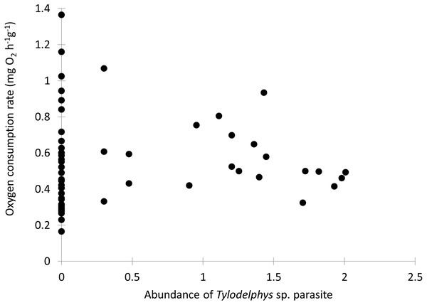 Oxygen consumption rate (mg O2 g−1 h−1) of Galaxias maculatus in relation to the abundance of Tylodelphys sp. in its cranial cavity (log10 (x + 1) transformed).