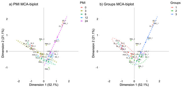 Multiple correspondence analysis (MCA) between the early post-mortem interval and the presence of morphological changes in rats.