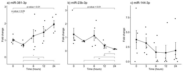 Gene expression analysis of miRNAs miR-381-3p, miR-23b-3p and miR-144-3p in rat skeletal muscle throughout the early different post-mortem interval.