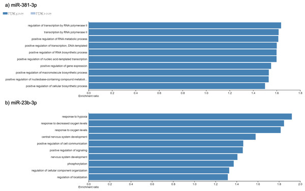 Gene Ontology enrichment analysis.