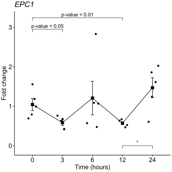 Gene expression analysis of EPC1 gene in rat skeletal muscle at early post-mortem interval.