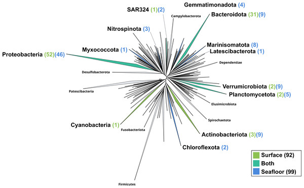 Bacterial phylogenomic tree.