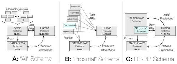Overview of the three prediction strategies to generate the SARS-CoV-2 vs. human interactome.