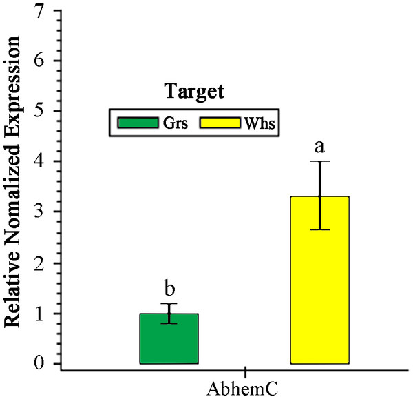RT- qPCR analysis of AbhemC expression in in the white and green parts of the chimeric leaves.