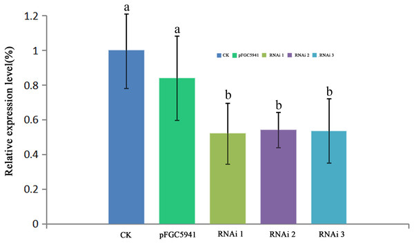 RT- qPCR analysis of hemC expression in three transgenic tobacco lines.