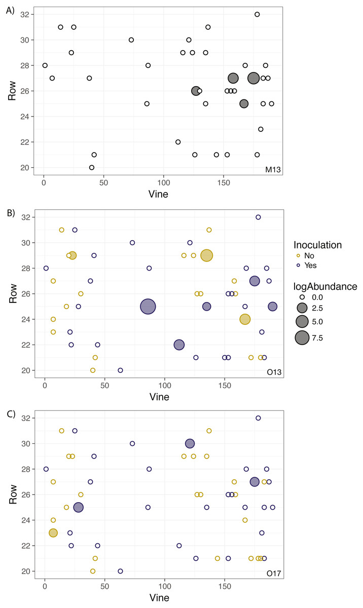 Commercial Arbuscular Mycorrhizal Fungal Inoculant Failed To Establish In A Vineyard Despite Priority Advantage Peerj