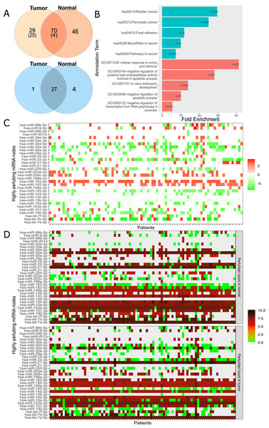 Analysis of highly perturbing genes and perturbed node counts for all miRNAs in real network.