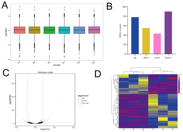 The analysis of Overall gene expression and differentially expressed genes.