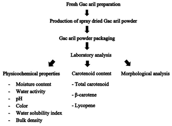A schematic diagram of characterization of spray-dried Gac aril powder.