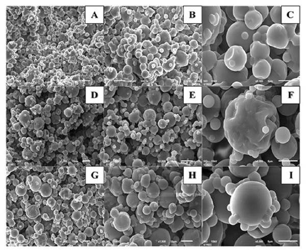 Scanning Electron Microscopic (SEM) images of Gac aril powders dried at different spray drying inlet temperatures; A–C: at 140 °C; D–F: at 160 °C; G–I: at 180 °C Magnification: A, D, G × 1,000; B, F, H × 1,500; C, F, I × 5,000.