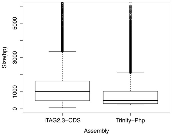 Boxplot comparison of the de novo assembled transcripts length distribution using the Trinity software.