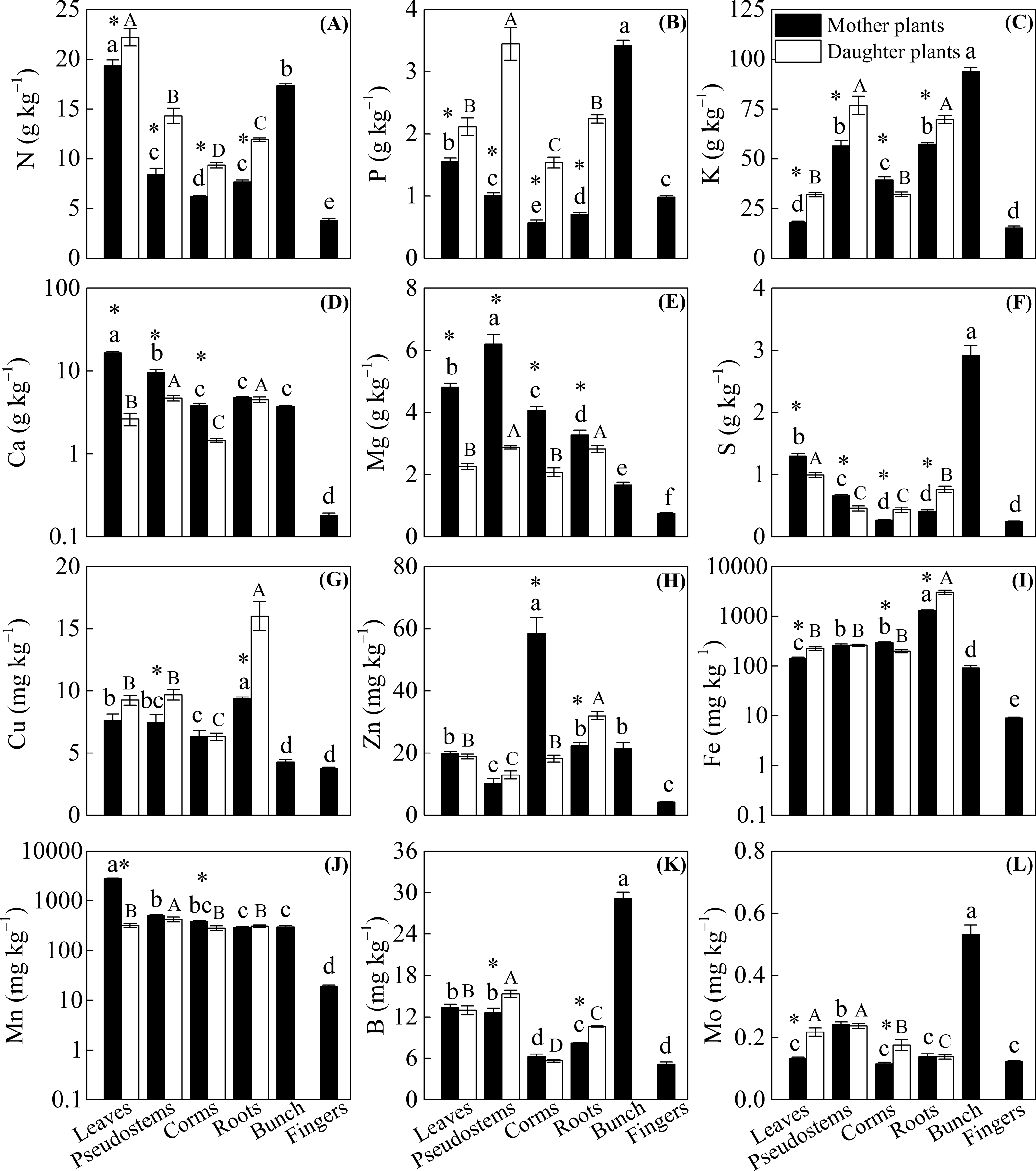 Magnesium May Be A Key Nutrient Mechanism Related To Fusarium Wilt Resistance A New Banana Cultivar Zhongjiao No 9 Peerj